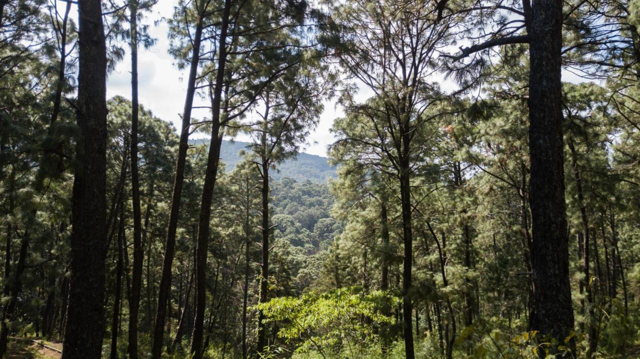 Monteverde Mazamitla Eksteriør bilde
